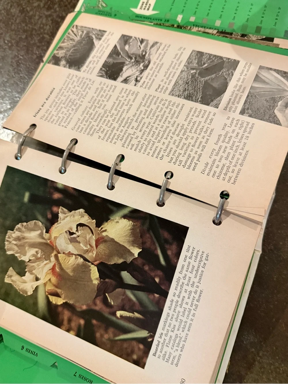 VTG Better Homes & Gardens Cream Floral Fruit Garden Binder Book cottage country